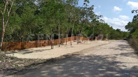 Francisco Uh May S/N,, Felipe Carrillo Puerto, Quintana Roo 77240, Mexico