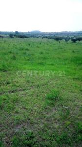 Coroneo, Guanajuato 38596, México