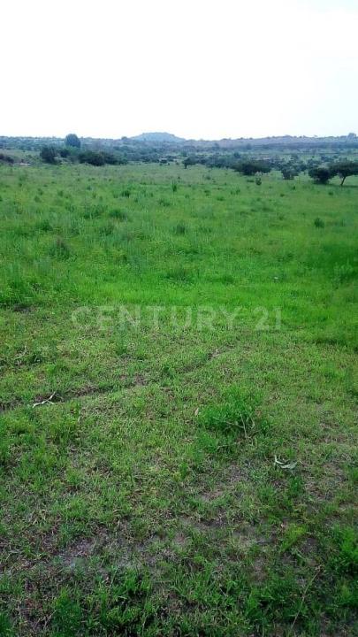 Coroneo, Guanajuato 38596, Meksika