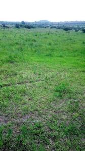 Coroneo, Guanajuato 38596, Meksika