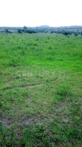 Coroneo, Guanajuato 38596, Meksika