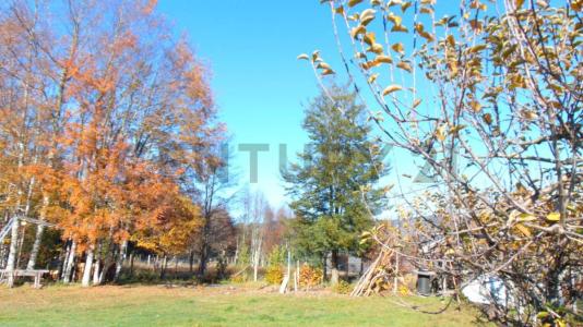 Cautín, Región De La Araucanía 00001, Chile