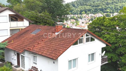 Neckargemünd, Baden-Württemberg 69115, Germany