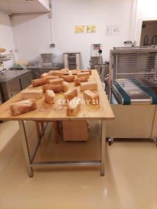 Ljubljana, Štepanjsko naselje, Ljubljana, Osrednjeslovenska 1000, Slovenia