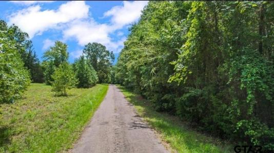 TBD CR 4114 #1 12.22 Acres, Hughes Springs, Texas 75656, Estados Unidos