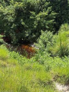 1001 Cattle Ranch Road, Venus, Florida 33960, USA