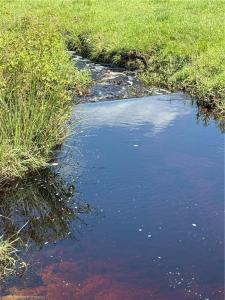 1000 Cattle Ranch Road, Venus, Florida 33960, USA