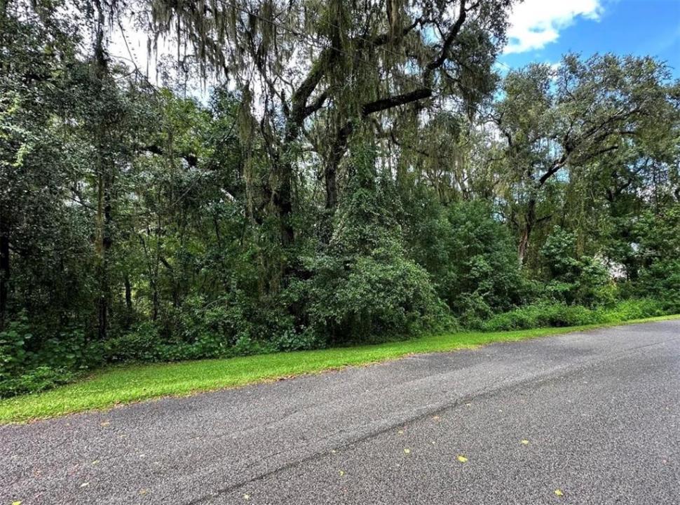 27111 Redfox Drive, Brooksville, 佛羅里達州 34602, 美國