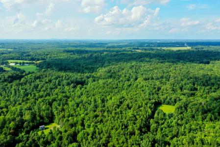 15 Farmville Road, Farmville, Вирджиния 23901, Соединенные Штаты