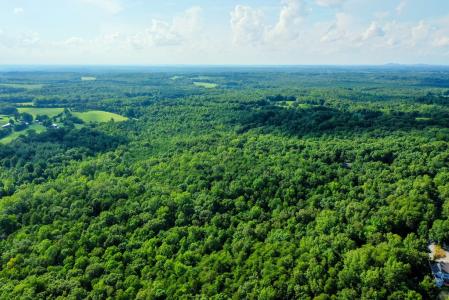 15 Farmville Road, Farmville, Вирджиния 23901, Соединенные Штаты