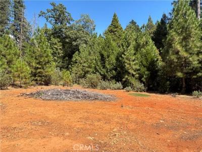 Via De Maia, Magalia, Califórnia 95954, Estados Unidos