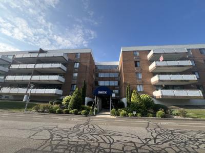 1460 elm st, Stratford, Connecticut 06615, Estados Unidos