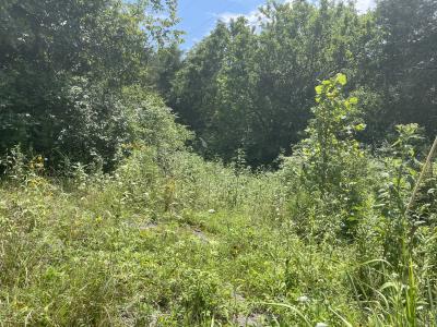 2750 Shadrick Ferry Road, Frankfort, Kentucky 40601, USA