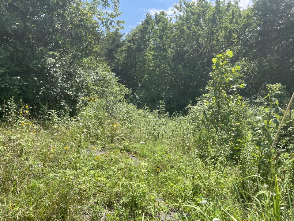 2750 Shadrick Ferry Road, Frankfort, Kentucky 40601, États-Unis