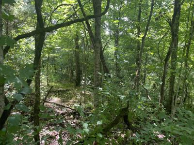 2750 Shadrick Ferry Road, Frankfort, Kentucky 40601, États-Unis