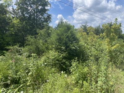 2750 Shadrick Ferry Road, Frankfort, Kentucky 40601, États-Unis