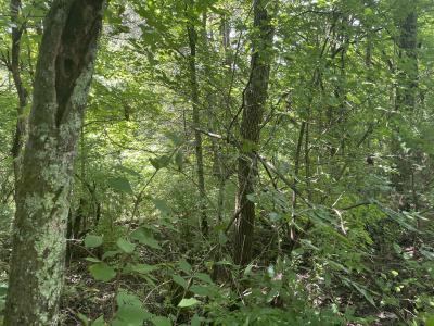2750 Shadrick Ferry Road, Frankfort, Kentucky 40601, États-Unis