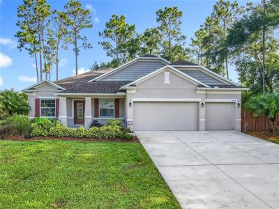 30418 Plymouth Creek Circle, Sorrento, Florida 32776, USA