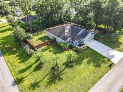 30418 Plymouth Creek Circle, Sorrento, Floride 32776, États-Unis