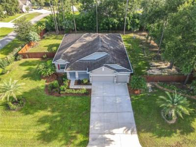 30418 Plymouth Creek Circle, Sorrento, Floride 32776, États-Unis