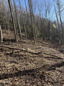 6020 Forge Creek Road, Mountain City, Tennessee 37683, USA