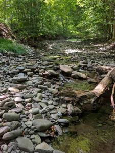 549 Hearts Content Rd, Cairo, New York 12473