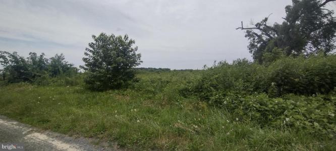 5536 Galestown Road, Galestown, Maryland 21659, USA