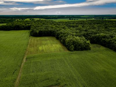 0 S Pittsford Road, Pittsford, Michigan 49271, Estados Unidos