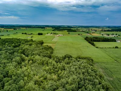 0 S Pittsford Road, Pittsford, Michigan 49271, Estados Unidos