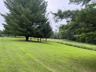 3.23 Acres Lot 76 & 77 Hawk Point Rd, Ferryville, Wisconsin 54628, Estados Unidos