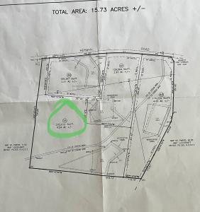 0 Herman Rd, Smithville, Tennessee 37166, USA