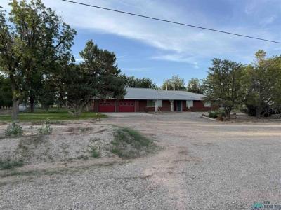 325 Pueblo Rd, Lake Arthur, Novo México 88253, Estados Unidos