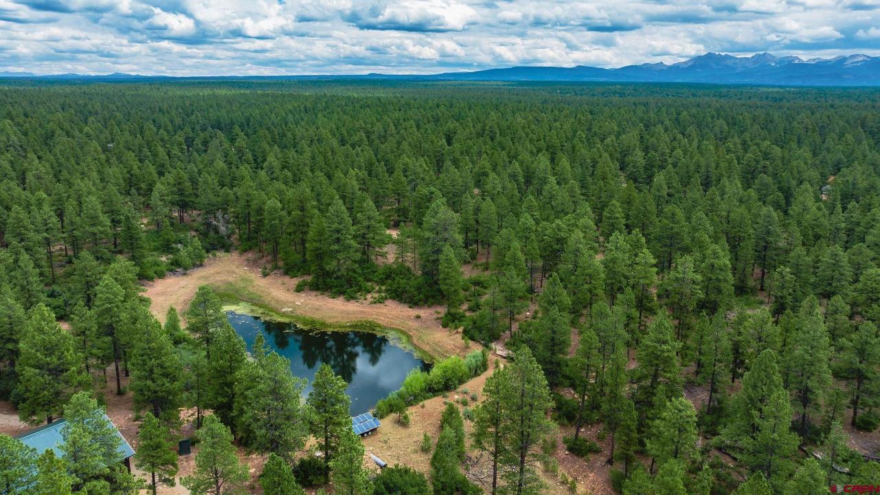 36794 Road T.7, Mancos, コロラド 81328, アメリカ合衆国