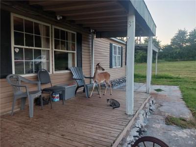 29629 Hwy 123, Western Grove, Arkansas 72685, Amerika Birleşik Devletleri