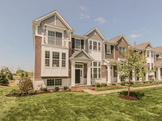 2925 Madison Dr, Naperville, Illinois 60564, Estados Unidos