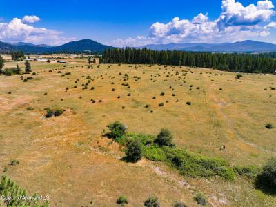 NNA S Manifold Rd., Square 20.01 Acres, Harrison, Idaho 83833, USA
