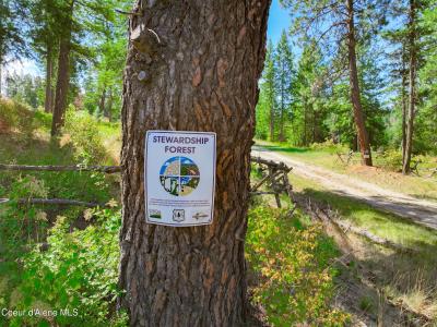 NNA S Manifold Rd., Square 20.01 Acres, Harrison, Idaho 83833, USA