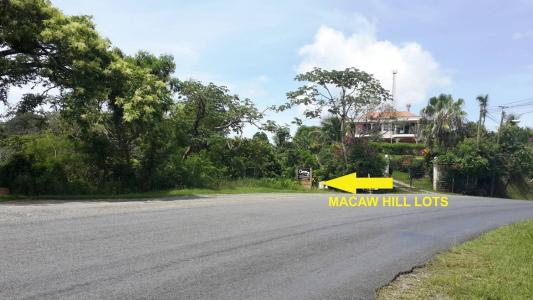 Roatán, Islas De La Bahía 34101, Honduras