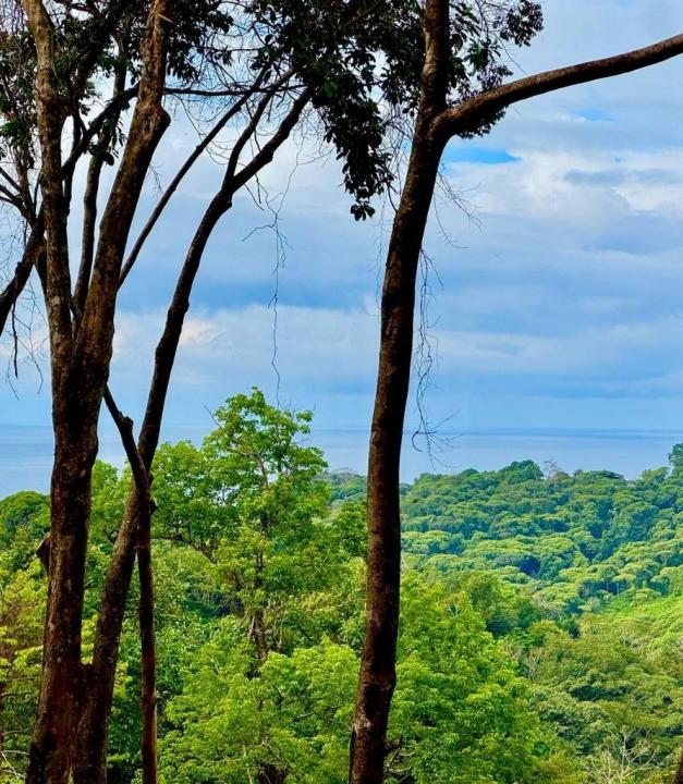 Piñuela Bahía Ballena Osa, Puntarenas 00001, קוסטה ריקה