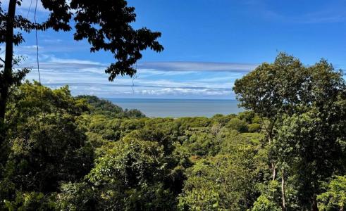 Piñuela Bahía Ballena Osa, Puntarenas 00001, קוסטה ריקה