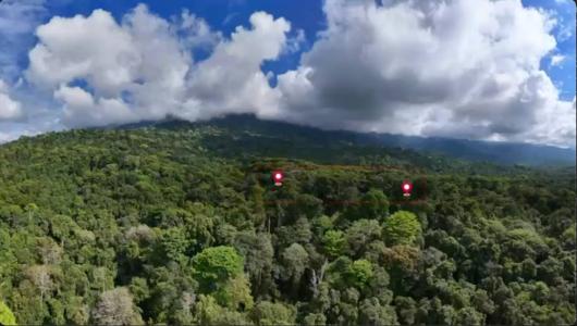 Piñuela Bahía Ballena Osa, Puntarenas 00001, קוסטה ריקה