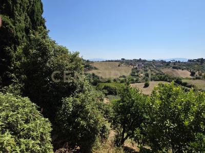 Via Aldo Moro, Morlupo, Lazio 00067, 意大利