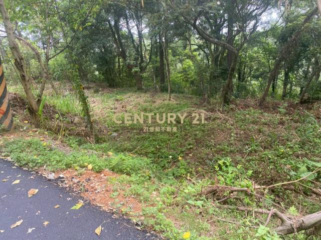 大東坑, Guanxi Township, Hsinchu County 306, Taiwan