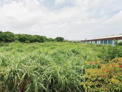 和平段, 楊梅區, Taoyuan 326, Tajwan