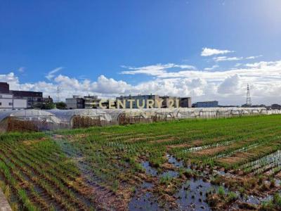 新福段, Zhuangwei Township, Yilan 263, Taiwán