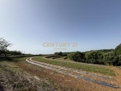 大坑段, Sanzhi Dist., Tân Bắc 252, Đài Loan