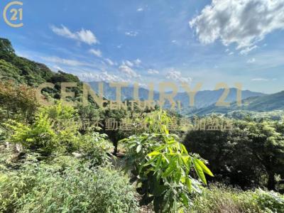 插角段外插角小段, Sanxia Dist., نيو تايبيه 237, تايوان