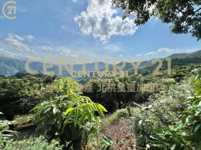 插角段外插角小段, Sanxia Dist., نيو تايبيه 237, تايوان