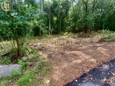 大旱坑段大東坑小段, Гуаньси, Уезд Синьчжу 306, Тайвань