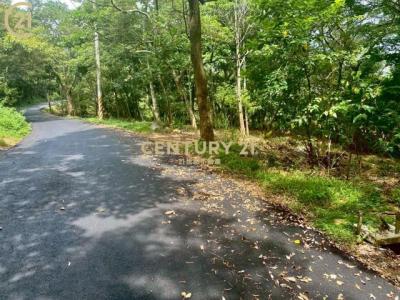 大旱坑段大東坑小段, Гуаньси, Уезд Синьчжу 306, Тайвань